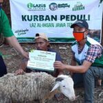Kurban Peduli Al-Ihsan
