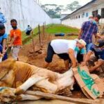 Merangkul Bantuan Qurban