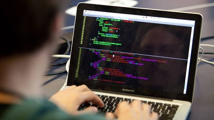 belajar coding pemula
